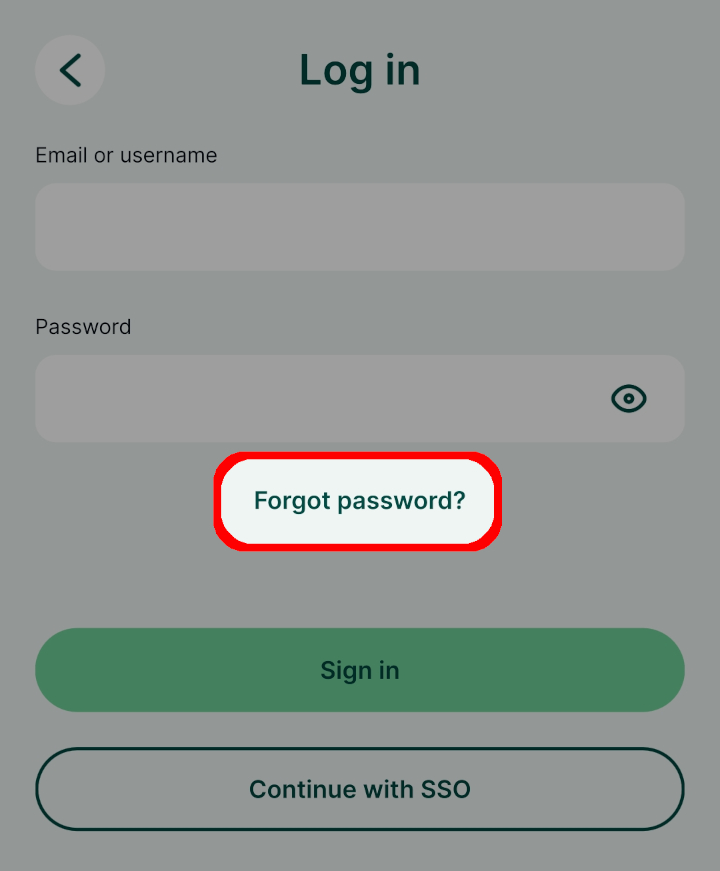 Mergin Maps forgotten password