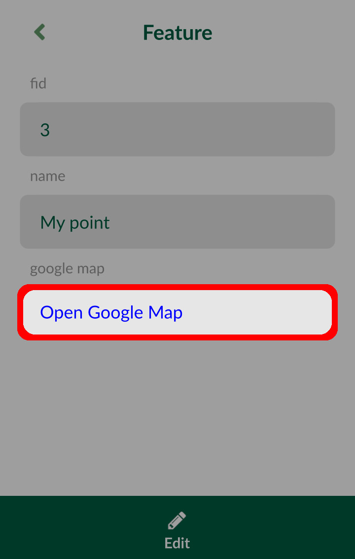 Open Google map from Mergin Maps mobile app