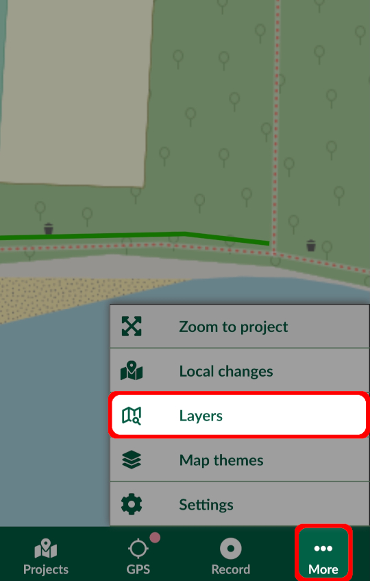 Mergin Maps Input Layers in More tab