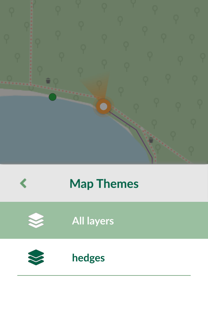 Switch map themes in Mergin Maps Input