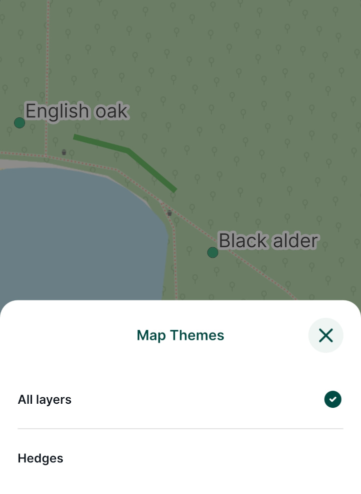 Switch map themes in Mergin Maps mobile app