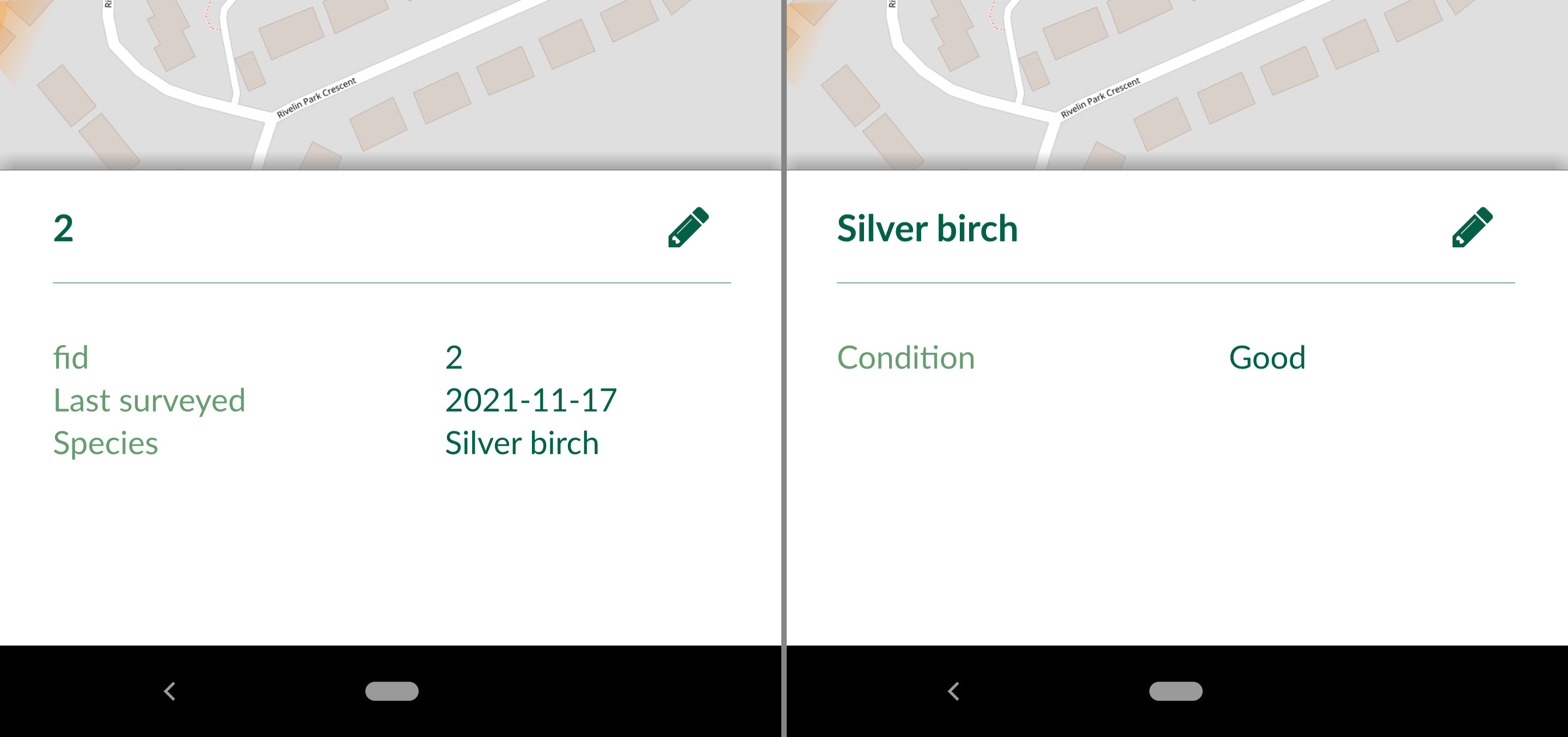 Feature preview panel in Mergin Maps Input