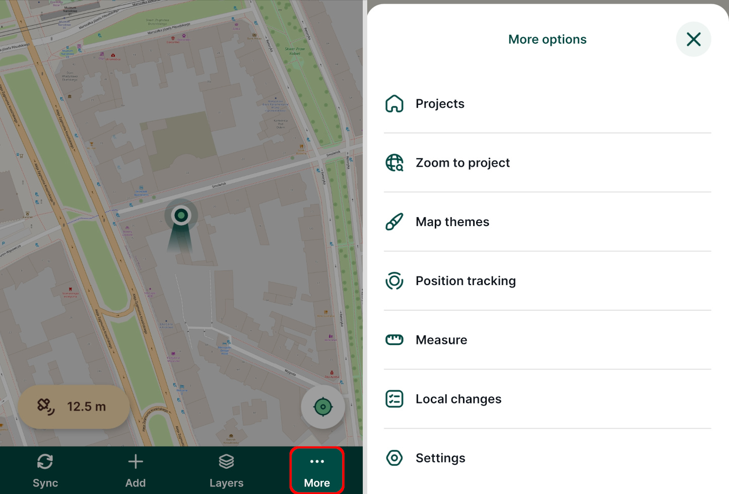 Mergin Maps mobile app More button