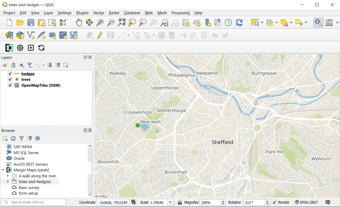 Desired project extent in QGIS