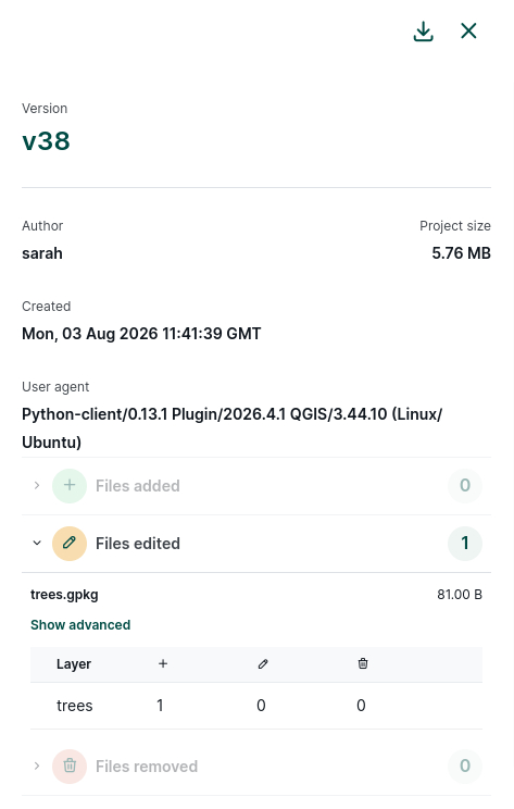 Project version details in Mergin Maps dashboard