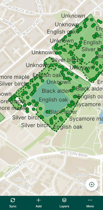 Filtering features in Mergin Maps mobile app