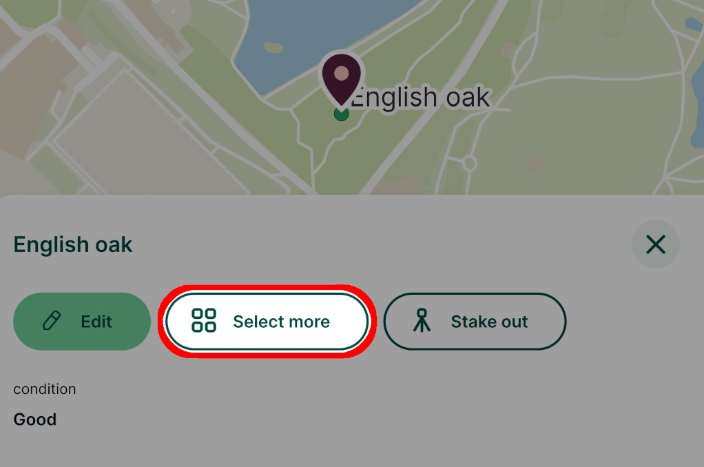 Select more features button in Mergin Maps mobile app